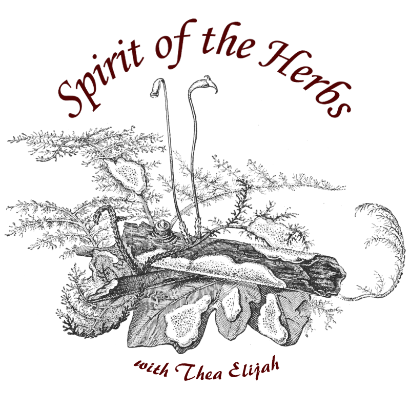 spirit of the herbs logo