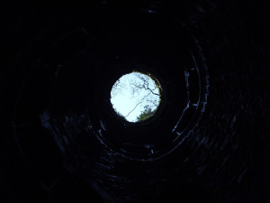 worms-eyeview-of-well