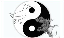 duck and moose over yin yang