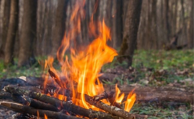 Conflict of Interest in Partnership: More Wood for the Fire